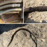 地面におかれているホース