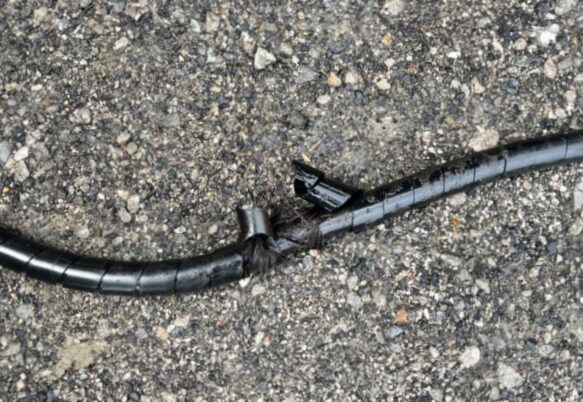 地面にい置かれた破れたホース
