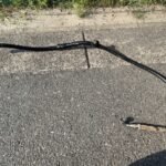 地面に1本のホース