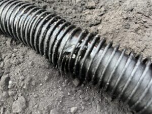 地面におかれたホース