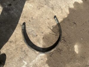 地面に置かれたホース