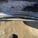 地面に置かれたホース